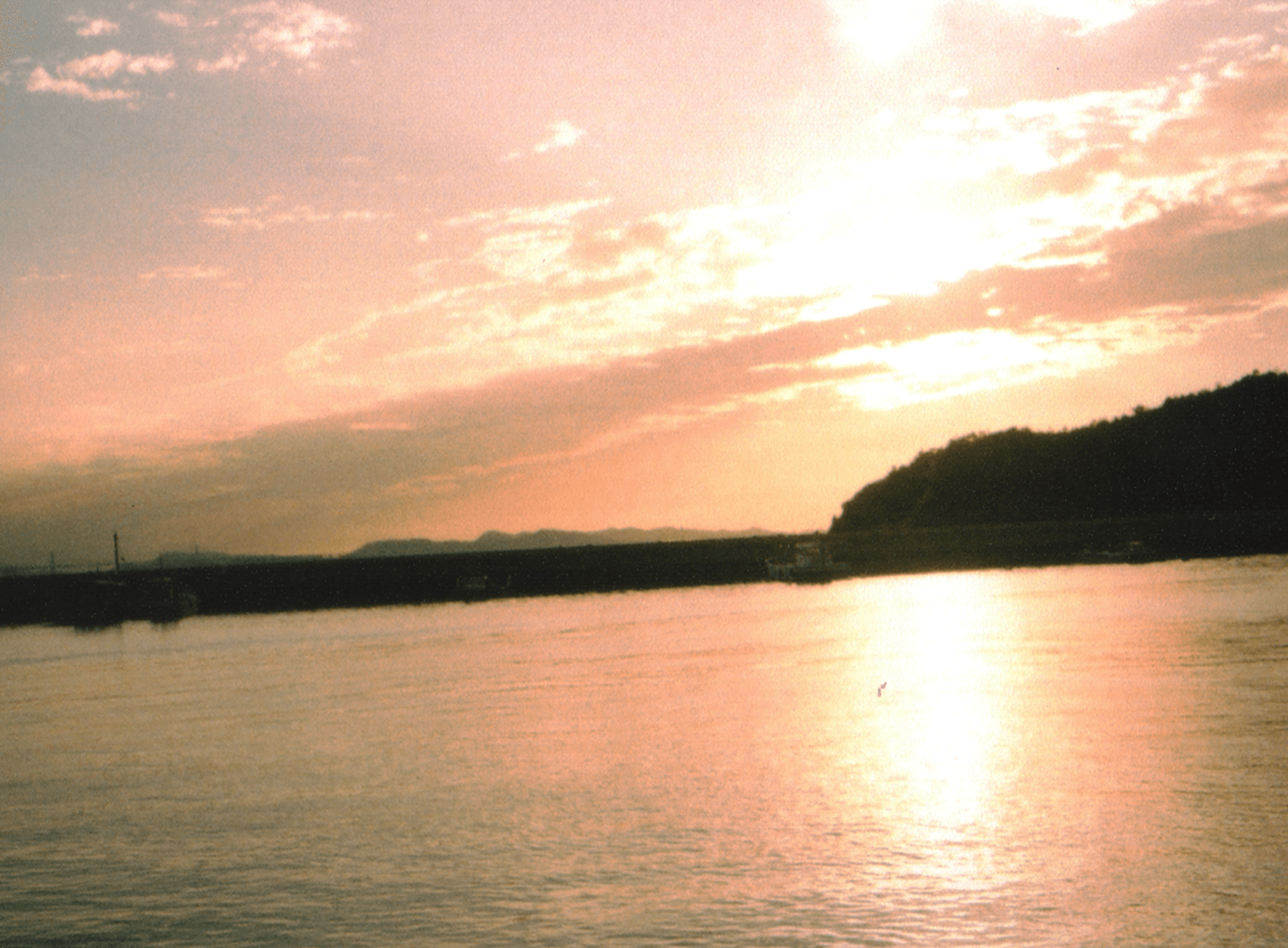 Fantasna estrena sello con nueva canción