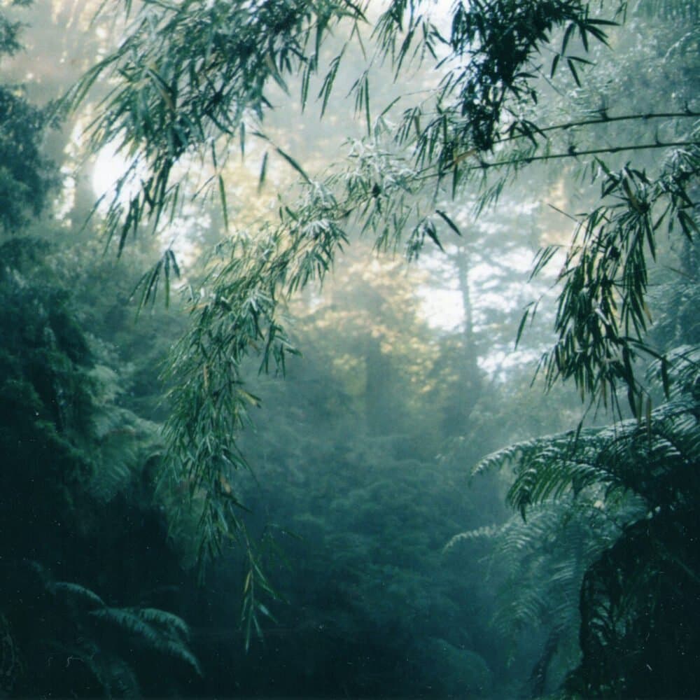 Fantasna y Kamila Govorcin estrenan nuevo EP